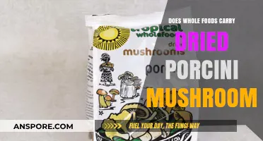 Whole Foods' Porcini Mushroom Offerings: Fresh, Dried, and More