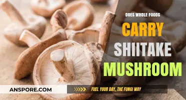 Whole Foods Shiitake Mushroom Hunt: Where to Find Them?