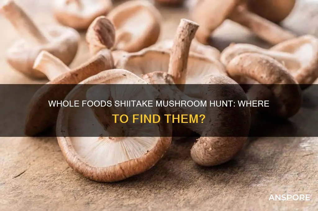 does whole foods carry shiitake mushrooms