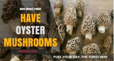 Whole Foods Oyster Mushroom Hunt: Where to Find Them?