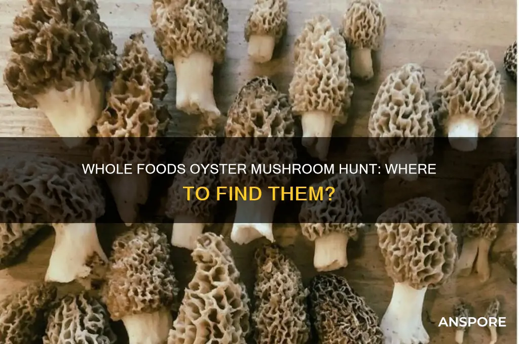 does whole foods have oyster mushrooms