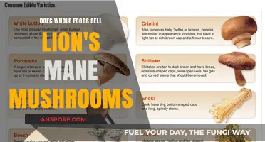 Whole Foods Lion's Mane Offerings: What's Available?