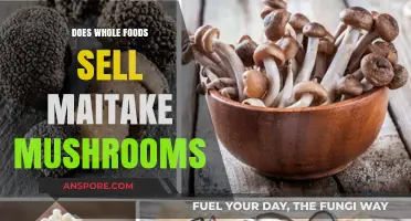 Whole Foods Maitake Mushrooms: Are They Available?