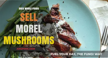 Where to Find Morel Mushrooms: Does Whole Foods Carry Them?