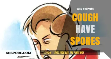 Does Whooping Cough Have Spores? Unraveling the Truth Behind Pertussis