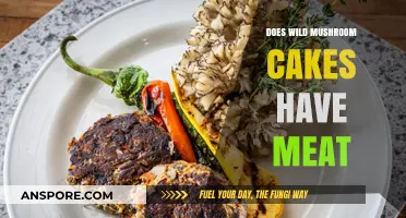 Wild Mushroom Cakes: Meat-Free Delicacy