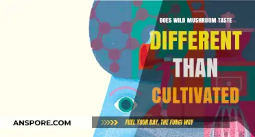 Wild vs Cultivated Mushrooms: A Taste Difference?