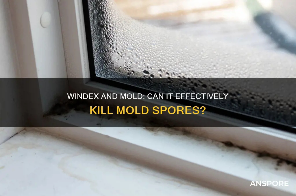 does windex kill mold spores