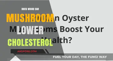 Wood Ear Mushrooms: Cholesterol-Lowering Superfood?