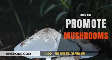 Mushroom Enthusiasts: WSU's Promotion of Fungi