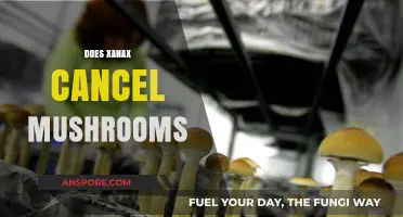 Xanax and Mushrooms: A Risky Mix?