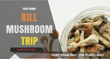 Xanax and Mushroom Trips: A Safe Mix?