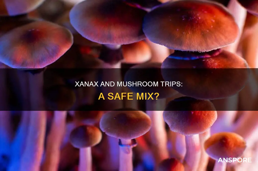 does xanax kill mushroom trip