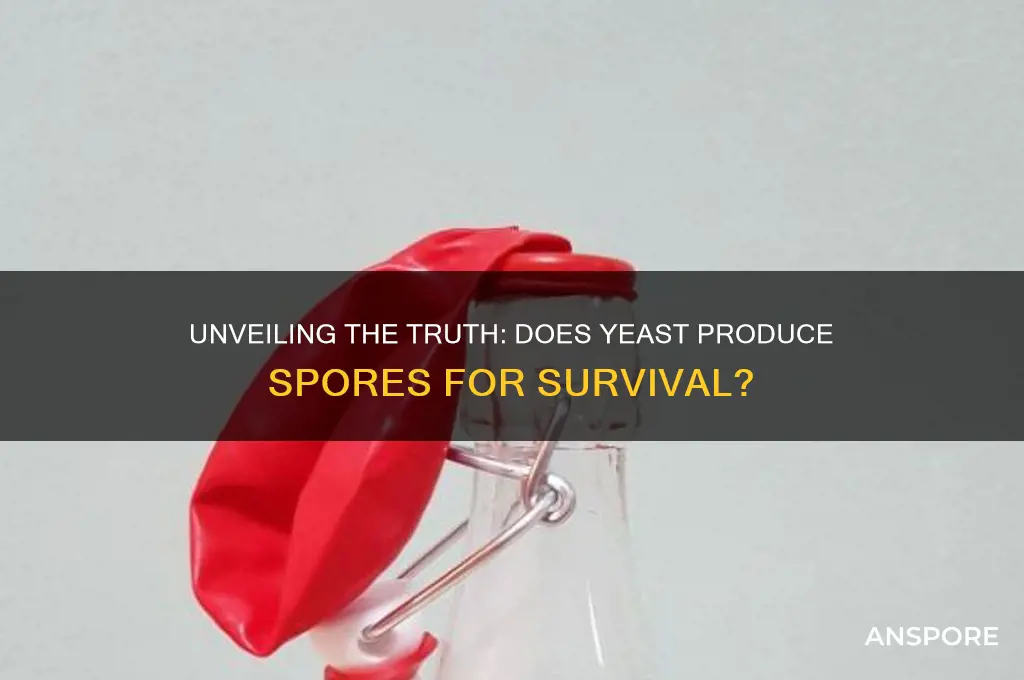 does yeast have spores