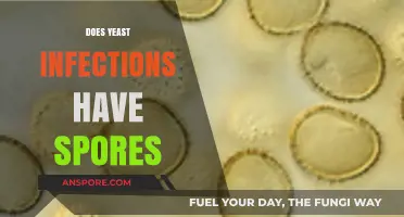 Do Yeast Infections Produce Spores? Unraveling the Fungal Mystery