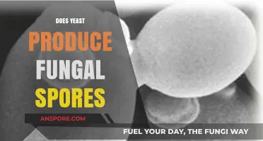 Does Yeast Release Fungal Spores? Unraveling the Microbial Mystery