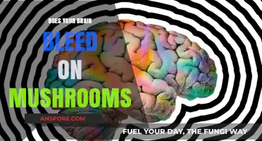 Mushroom Trips: Do They Make Your Brain Bleed?