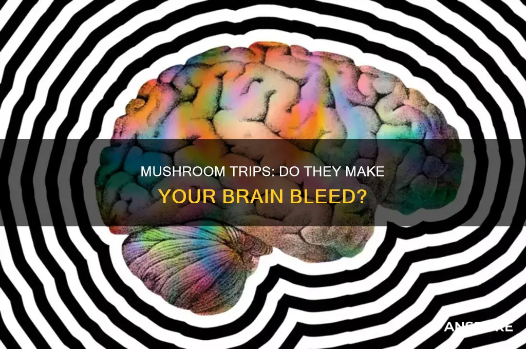 does your brain bleed on mushrooms