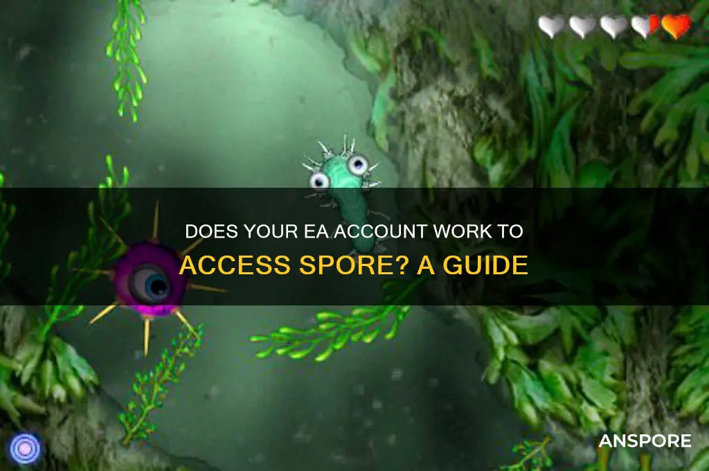 does your ea account work to access spore