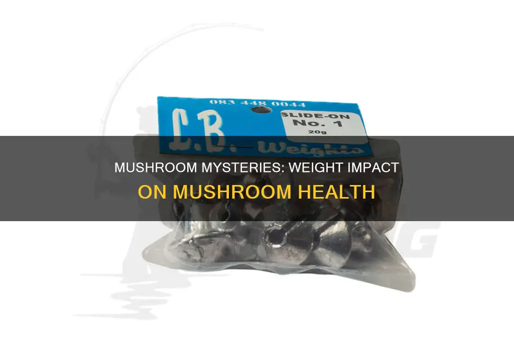 does your weight matter with mushrooms
