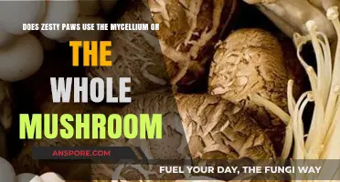 Zesty Paws Mushroom Source: Mycellium or Whole Mushroom Explained