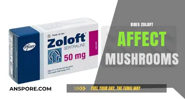 Zoloft and Magic Mushrooms: A Risky Mix?
