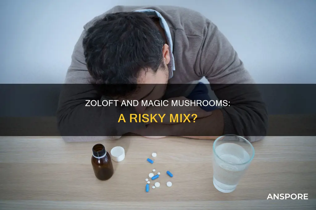 does zoloft affect mushrooms