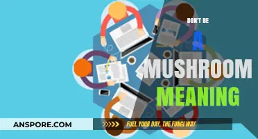 The Power of Transparency: Don't Keep Your Team in the Dark