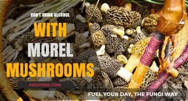 Avoid Alcohol with Morel Mushrooms: Risks and Safe Consumption Tips
