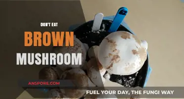 Avoid Brown Mushrooms: Risks, Dangers, and Safe Foraging Tips