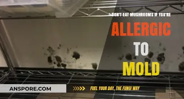 Avoid Mushrooms: Mold Allergy Risks and Safe Eating Tips