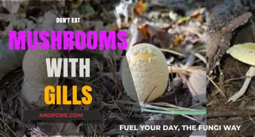 Avoid Gilled Mushrooms: Why Eating Them Can Be Dangerous
