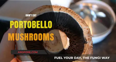 Avoid Portobello Mushrooms: Hidden Health Risks You Should Know