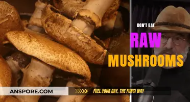 Avoid Raw Mushrooms: Hidden Dangers and Health Risks Explained