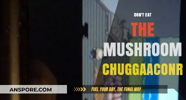 Avoid the Mushroom: Chuggaaconroy's Warning and Why It Matters