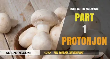 ProtonJon's Mushroom Misadventure: Why You Shouldn't Eat the Fungus