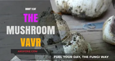 Avoid the Mushroom Vavr: A Guide to Safe Foraging Practices