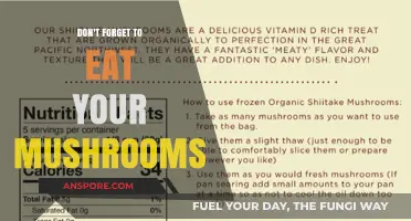 Mushrooms: The Nutritional Powerhouses You Shouldn’t Overlook in Your Diet