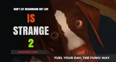 Mushroom's Life is Strange 2: Don't Miss Out!