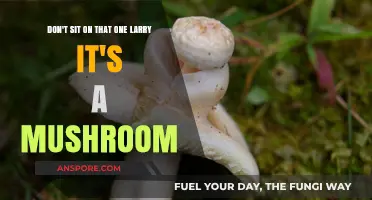 Larry's Uncomfortable Mistake: A Mushroom Tale