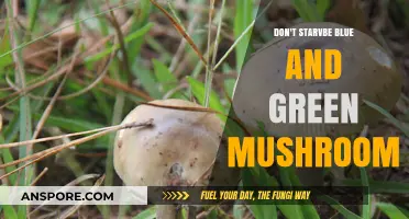 Blue and Green Mushrooms: Starvation Solution or Poison?