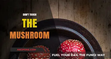 The Mushrooms' Mystery: Keep Your Hands Off!
