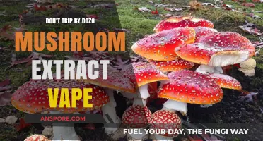 Unlocking the Power of Dozo Mushroom Extract Vape