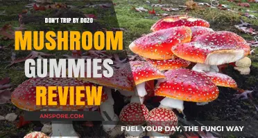 Dozo Mushroom Gummies: A Trip Worth Taking?