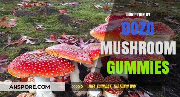 Avoid the Stumble: Dozo Mushroom Gummies Review and Tips