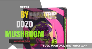 Tripping on Dozo Mushrooms: A Safe Adventure