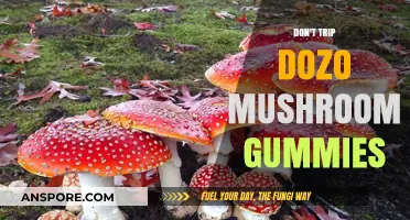Dozo Mushroom Gummies: Trip-Free, Fun-Full Experience