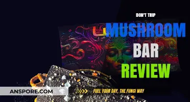 Trippy Treats: Don't Trip Mushroom Bar Review