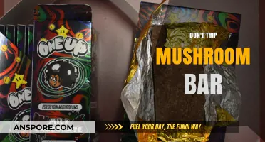 Tripping on Shrooms? A Safe Haven for You