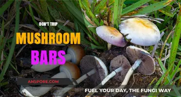 Trip Safely: Mushroom Bars